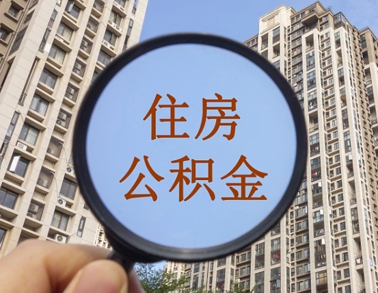 佛山退休后查不到公积金明细了吗（退休后公积金查询不到原因）